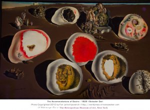 the-accommodations-of-desire